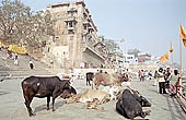 Varanasi - the ghats